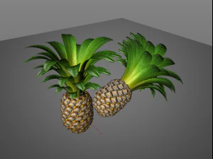 frutto di mela pino Modello 3D