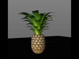 pine apple fruit 3D 模型