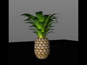 frutto di mela pino Modello 3D