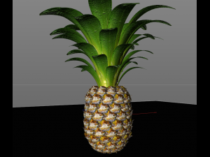pine apple fruit 3D 模型