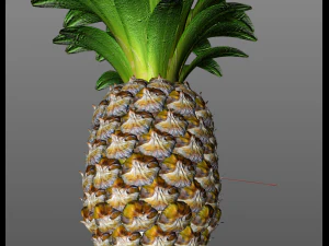 frutto di mela pino Modello 3D