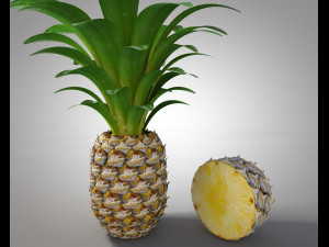pine apple fruit 3D 模型