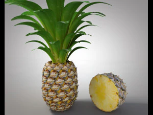 frutto di mela pino Modello 3D