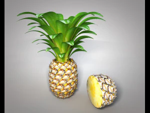 frutto di mela pino Modello 3D