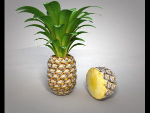 pine apple fruit 3D 模型