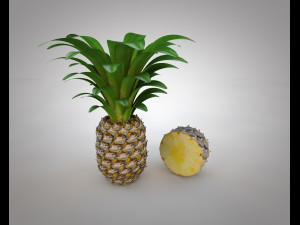 pine apple fruit 3D 模型