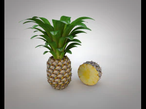 frutto di mela pino Modello 3D