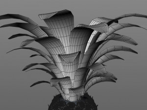 pine apple fruit 3D 模型