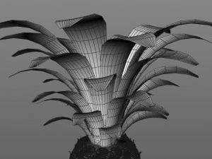 frutto di mela pino Modello 3D