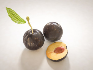 plum fruit 3D 模型