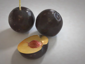 плоды сливы 3D Модель