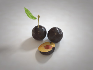 plum fruit 3D Model