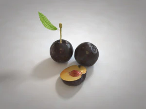 плоды сливы 3D Модель