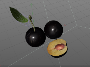 plum fruit 3D Model