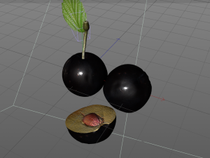 plum fruit 3D Model