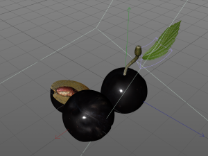 plum fruit 3D Model