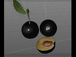 plum fruit 3D Model