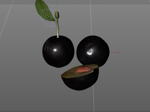 plum fruit 3D Model