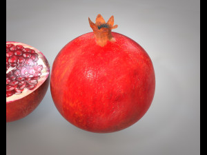 pomegranate fruit 3D Model