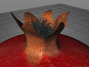 pomegranate fruit 3D Model