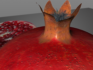 pomegranate fruit 3D Model