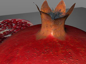 pomegranate fruit 3D Model