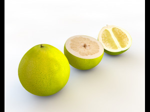 pomelo citric fruit 3D Model