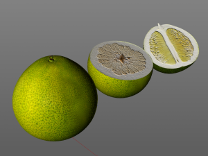pomelo citric fruit Modello 3D