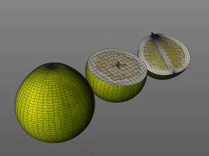 pomelo citric fruit Modello 3D