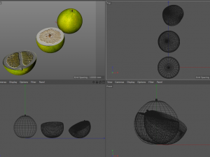 pomelo citric fruit Modello 3D