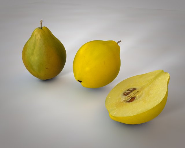 quince fruit 3D 模型 .c4d .max .obj .3ds .fbx .stl .blend 