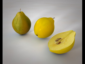 quince fruit 3D Model