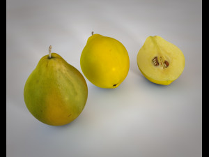quince fruit 3D 模型