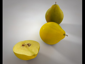 quince fruit 3D 模型