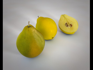quince fruit 3D 模型