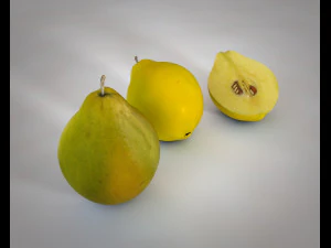 quince fruit 3D Model