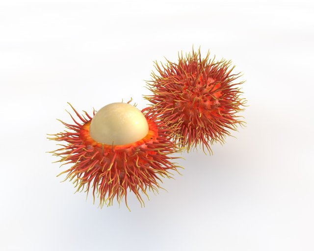rambutan fruit 3Dモデル .c4d .max .obj .3ds .fbx .stl .blend 