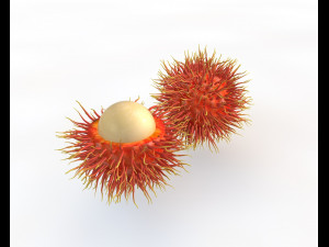 rambutan fruit 3D Model