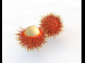 Rambutan Fruit 3D-Modell