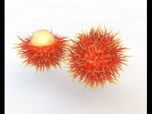 rambutan fruit 3Dモデル