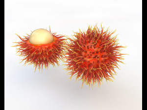 rambutan fruit 3Dモデル