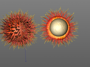 rambutan fruit 3Dモデル