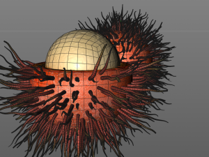 rambutan fruit 3Dモデル