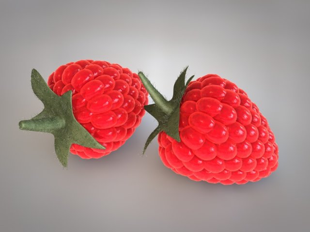 raspberry fruit Model 3D .c4d .max .obj .3ds .fbx .stl .blend 