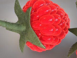 raspberry fruit Model 3D