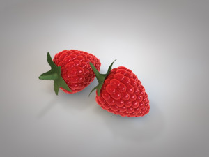 raspberry fruit Model 3D