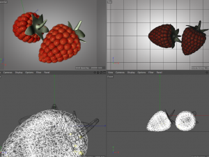 raspberry fruit Model 3D