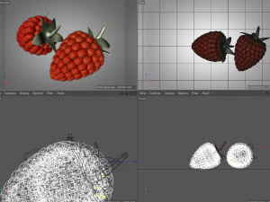 raspberry fruit 3D Model