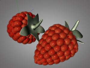 raspberry fruit Model 3D