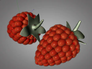 raspberry fruit 3D Model